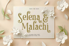 Haulage | A Natural Handmade Serif Font Product Image 4