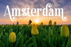 Haulage | A Natural Handmade Serif Font Product Image 12