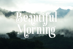 Haulage | A Natural Handmade Serif Font Product Image 13