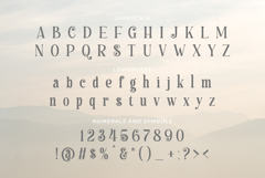 Haulage | A Natural Handmade Serif Font Product Image 15