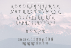 Haulage | A Natural Handmade Serif Font Product Image 16