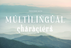 Haulage | A Natural Handmade Serif Font Product Image 17