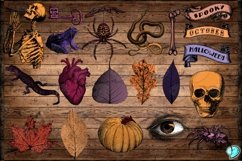 Haunted Delights Halloween Clipart Pack Product Image 3