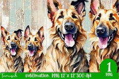 watercolor Berger Picard dog sublimation PNG Product Image 1