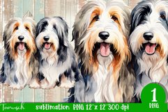 watercolor Bearded Collie dog sublimation PNG Product Image 1