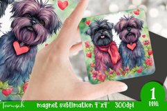watercolor affenpinscher dog magnet sublimation PNG Product Image 1