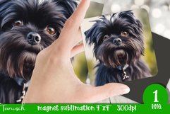 watercolor affenpinscher dog magnet sublimation PNG Product Image 1