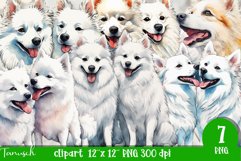 watercolor american eskimo sublimation clipart Product Image 1