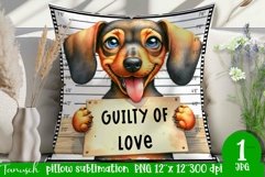 funny mugshot dog pillow sublimation design Product Image 1