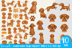 Watercolor dachshund Dogs clipart set Product Image 1