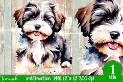 watercolor Havanese dog sublimation PNG Product Image 1