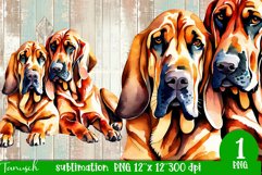 watercolor Bloodhound dog sublimation PNG Product Image 1