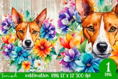 watercolor basenji sublimation PNG Product Image 1
