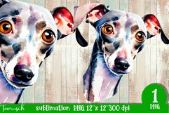 watercolor Italian Greyhound dog sublimation PNG Product Image 1