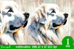 watercolor Great Pyrenees dog sublimation PNG Product Image 1