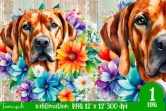 watercolor RHODESIAN RIDGEBACK sublimation PNG / dog design Product Image 1