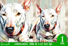 watercolor Bull Terrier dog sublimation PNG Product Image 1