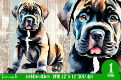 watercolor Cane Corso dog sublimation mastiff PNG Product Image 1