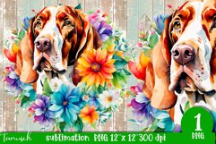 watercolor Bracco Italiano dog sublimation PNG Product Image 1