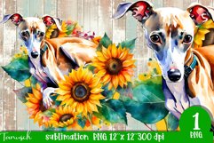 watercolor Italian Greyhound dog sublimation PNG Product Image 1