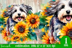 watercolor Havanese dog sublimation PNG Product Image 1