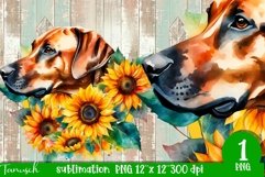 watercolor RHODESIAN RIDGEBACK sublimation PNG / dog design Product Image 1