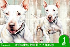 watercolor Bull Terrier dog sublimation PNG Product Image 1