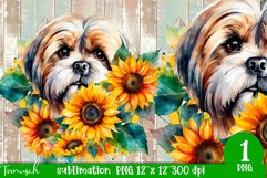 watercolor LHASA APSO sublimation PNG / dog design Product Image 1