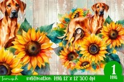 watercolor RHODESIAN RIDGEBACK sublimation PNG / dog design Product Image 1
