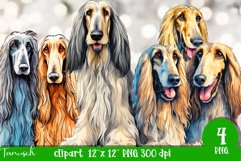 watercolor afghan hound dog sublimation clipart Product Image 1