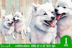 watercolor american eskimo sublimation PNG Product Image 1