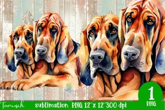 watercolor Bloodhound dog sublimation PNG Product Image 1
