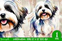 watercolor Havanese dog sublimation PNG Product Image 1