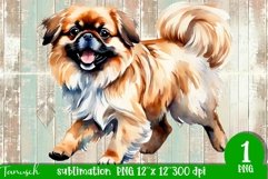 watercolor PEKINESE sublimation PNG / dog design - bundle Product Image 3