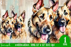 watercolor Berger Picard dog sublimation PNG Product Image 1