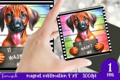 magnet sublimation funny DOG mugshot Ridgeback Product Image 1