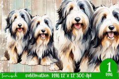 watercolor Bearded Collie dog sublimation PNG Product Image 1