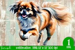 watercolor PEKINESE sublimation PNG / dog design Product Image 1