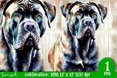 watercolor Cane Corso dog sublimation mastiff PNG Product Image 1