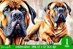 watercolor Bullmastiff dog sublimation mastiff PNG Product Image 1