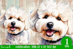 watercolor Bichon Frise dog sublimation PNG Product Image 1