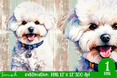 watercolor Bichon Frise dog sublimation PNG Product Image 1