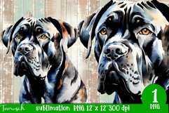 watercolor Cane Corso dog sublimation mastiff PNG Product Image 1