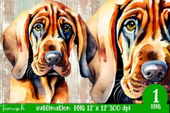 watercolor Bloodhound dog sublimation PNG Product Image 1