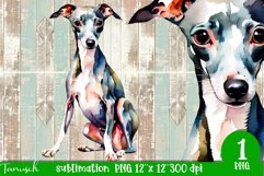 watercolor Italian Greyhound dog sublimation PNG Product Image 1