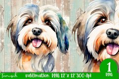 watercolor Havanese dog sublimation PNG Product Image 1