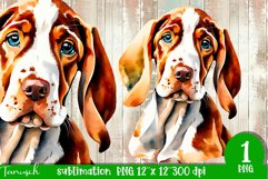 watercolor Bracco Italiano dog sublimation PNG Product Image 1