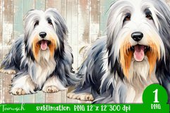 watercolor Bearded Collie dog sublimation PNG Product Image 1