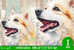 watercolor american eskimo sublimation PNG Product Image 1