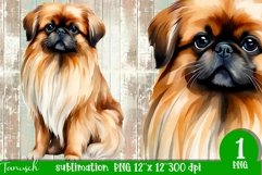 watercolor PEKINESE sublimation PNG / dog design Product Image 1